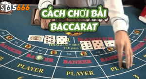 Những lưu ý khi áp dụng các chiến thuật chơi Baccarat